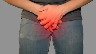 ¡Sépalo! Las fracturas de pene aumentan en Navidad ¡Sépalo! Las fracturas de pene aumentan en Navidad