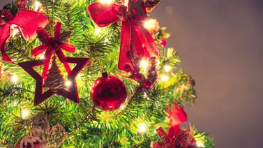¿Cuál es el origen del árbol de Navidad? ¿Cuál es el origen del árbol de Navidad?