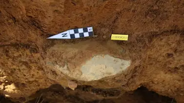 Encontraron una botella con 7.000 años de antigüedad: esto contiene Encontraron una botella con 7.000 años de antigüedad: esto contiene