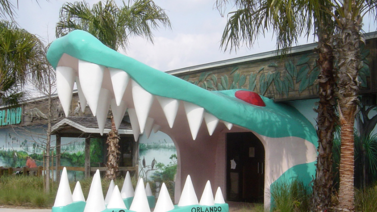 Caimán blanco: Nueva atracción en parque de Orlando