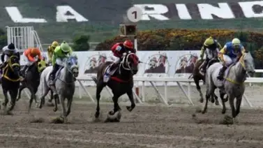 Clásico Senegal GII para potras en La Rinconada Clásico Senegal GII para potras en La Rinconada