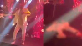 Cantante brasileño muere en pleno concierto (+VIDEO)