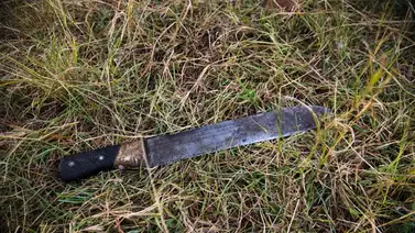 Mató a su mujer a machetazos tras una acalorada discusión Mató a su mujer a machetazos tras una acalorada discusión