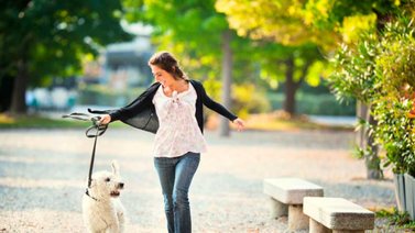 ¡Este es el tiempo que debes pasear al perro!