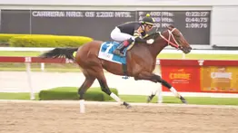 Venezuela va con todo a la Serie Hípica del Caribe 2023