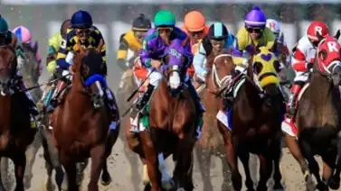 ¡Entérate! Conoce dónde será la Serie Hípica del Caribe en 2024 ¡Entérate! Conoce dónde será la Serie Hípica del Caribe en 2024