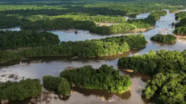 Rusia recomienda soluciones pacíficas entre Venezuela y Guyana Rusia recomienda soluciones pacíficas entre Venezuela y Guyana