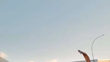 Grúa de carga pesada colapsa y causa daños en Los Cortijos Grúa de carga pesada colapsa y causa daños en Los Cortijos