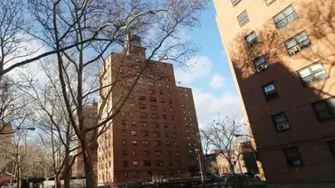 Joven mató a su prima y se hizo pasar por ella para ocultar el crimen Joven mató a su prima y se hizo pasar por ella para ocultar el crimen