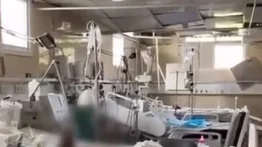 Hallan recién nacidos en estado de descomposición en un hospital en Gaza