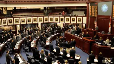 Presentan en el Senado de Florida Ley sobre la violencia doméstica Presentan en el Senado de Florida Ley sobre la violencia doméstica