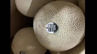 Aumenta cifra de fallecidos por peligrosa bacteria hallada en melones Aumenta cifra de fallecidos por peligrosa bacteria hallada en melones