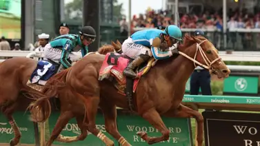 Oficial: Estos son los planes para Mage a partir del 2024 Oficial: Estos son los planes para Mage a partir del 2024