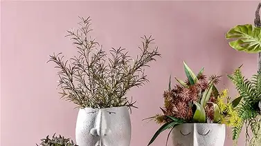 Embellece el hogar de tus plantas de interior y exterior Embellece el hogar de tus plantas de interior y exterior