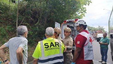 Avioneta se precipitó en un área boscosa este #24Nov