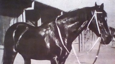 Homenaje al siempre recordado Burlesco en La Rinconada