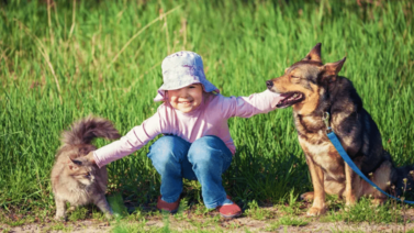 Animales de compañía ideales para los niños