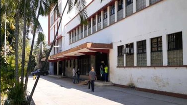 Niño sufre mordedura de serpiente mapanare en sus genitales