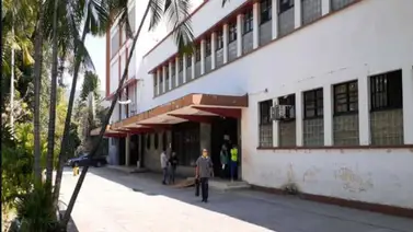 Niño sufre mordedura de serpiente mapanare en sus genitales Niño sufre mordedura de serpiente mapanare en sus genitales