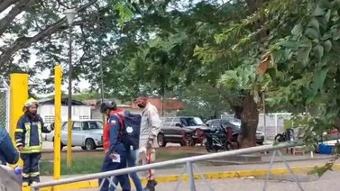 Reportan ataque de abejas africanas en el hospital de El Tigre