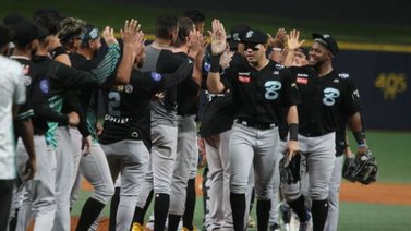 Bravos venció a Leones en una blanqueada Monumental