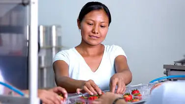 Proyecto 3×1: así puedes optar por este programa de ayuda mexicano para migrantes Proyecto 3×1: así puedes optar por este programa de ayuda mexicano para migrantes