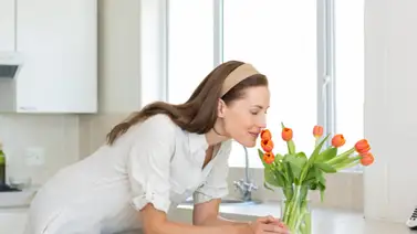 Principales aromas para armonizar el ambiente y sentir bienestar Principales aromas para armonizar el ambiente y sentir bienestar