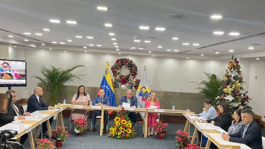 Elvis Amoroso: Simulacro sobre El Esequibo tuvo récord de participación