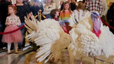 Biden indulta a dos pavos de la mesa de Acción de Gracias (+Detalles) Biden indulta a dos pavos de la mesa de Acción de Gracias (+Detalles)