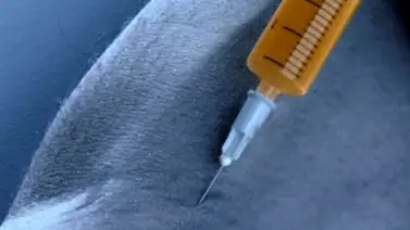 Ejecutan a hombre condenado por rapto y asesinato de una niña Ejecutan a hombre condenado por rapto y asesinato de una niña