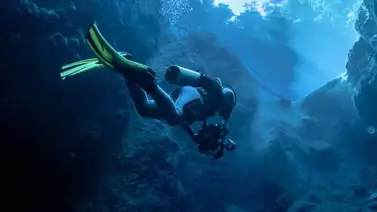 Buzos capturan en video cómo se percibe un sismo bajo el océano Buzos capturan en video cómo se percibe un sismo bajo el océano