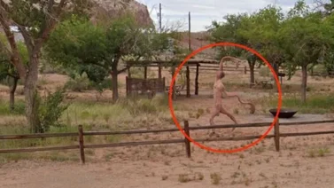 Google Street capta a una extraña “criatura desnuda” en Utah