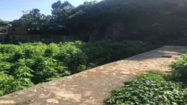 Cerca de 500 familias pueden quedar damnificadas en sector de La Guaira