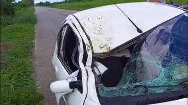 Vaca aplasta un vehículo y causa la muerte de un adolescente Vaca aplasta un vehículo y causa la muerte de un adolescente