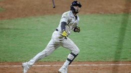 Harold Castro llega con un objetivo a Leones del Caracas (+declaraciones)