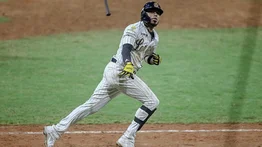 Harold Castro llega con un objetivo a Leones del Caracas (+declaraciones)