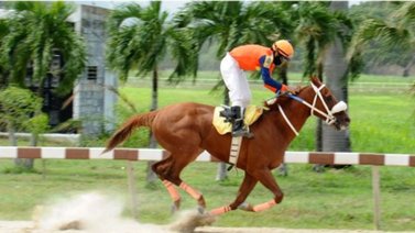 HINAVA: Copa “José Antonio Gubaira” este sábado en Valencia
