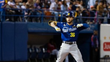 Navegantes del Magallanes doblegó a Tigres en Maracay