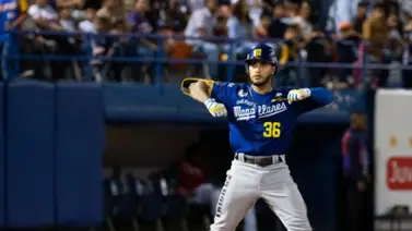 Navegantes del Magallanes doblegó a Tigres en Maracay Navegantes del Magallanes doblegó a Tigres en Maracay