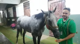 Ricardo Rosillo busca sorprender con esta yegua en La Rinconada