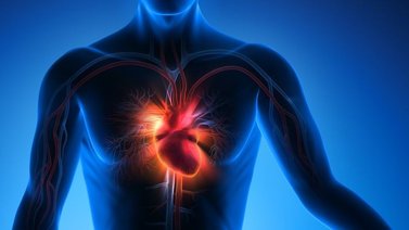Cardiólogos presentarán nuevos métodos de intervención