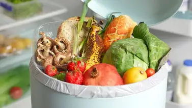 Conozca la cantidad de alimentos desperdiciados en Estados Unidos Conozca la cantidad de alimentos desperdiciados en Estados Unidos