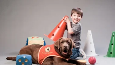 ¿Buscas un perro de terapia? Estas son las mejores razas