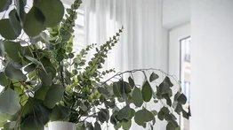 Barro, material por excelencia para tus decorados de interior