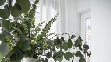 Barro, material por excelencia para tus decorados de interior Barro, material por excelencia para tus decorados de interior