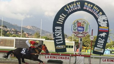 Sepa cuáles son los ejemplares que disputarán el Clásico Simón Bolívar