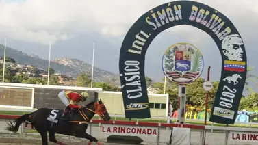 Sepa cuáles son los ejemplares que disputarán el Clásico Simón Bolívar Sepa cuáles son los ejemplares que disputarán el Clásico Simón Bolívar