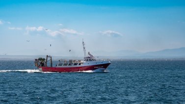 Esto es lo que necesitas para el permiso de exportación de productos pesqueros