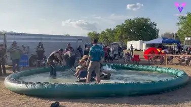 ¡De terror! Esto pasó en un show de caimanes (+Video) ¡De terror! Esto pasó en un show de caimanes (+Video)