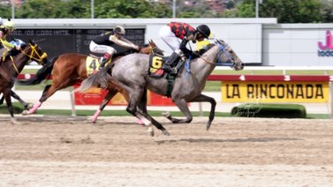 "Another Legacy y Mo Cuishle", un duelo de potras en La Rinconada